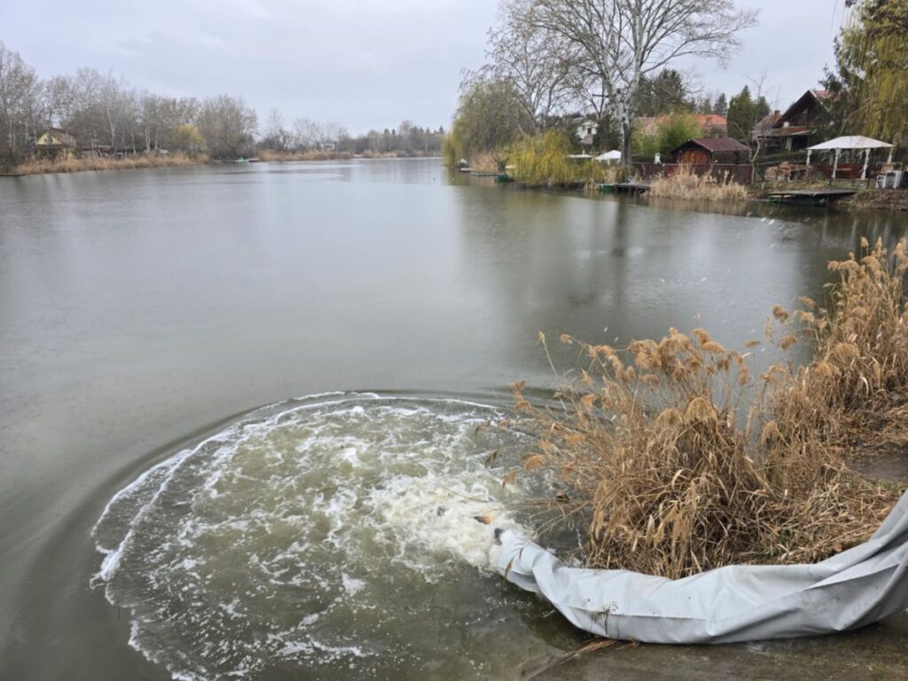 482127159 999852678910432 2262465158087361917 n