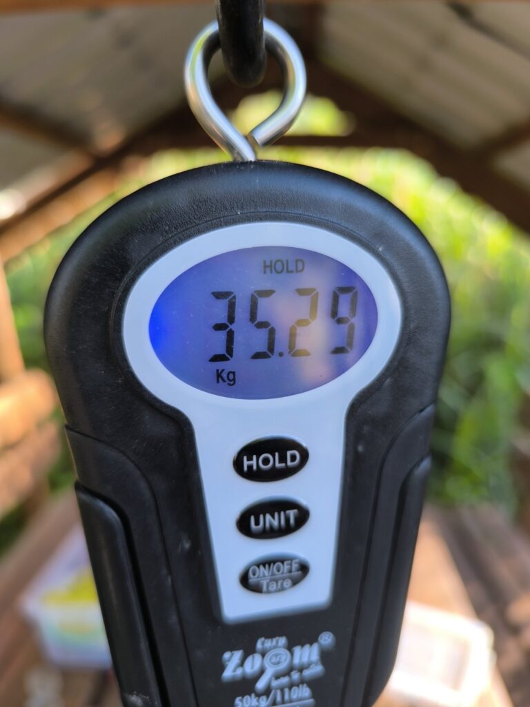 Újra horogra akadt az RSD legnagyobb pontya! 5 rekord rsd