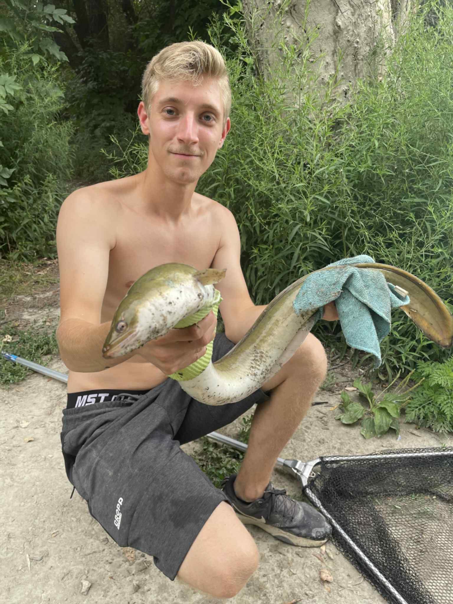 angolna nagy dunan