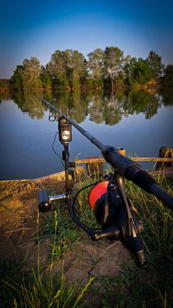 Vadvízi csata éjfélkor – ez a ponty nem adta könnyen magát! 5 att.xylIa3KRhF2NsD0ijWRu KOytS07UJKjsrmI8of9wRU