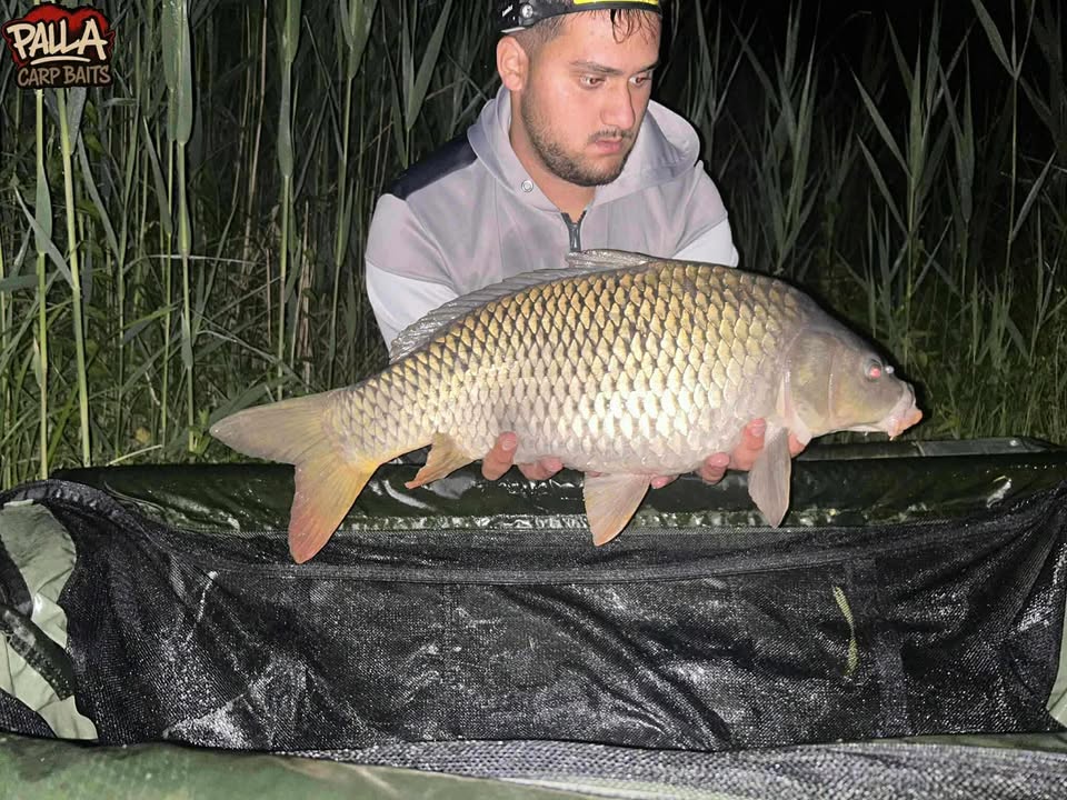 buzasvolgyi viztarozo bojlis modszerrel2