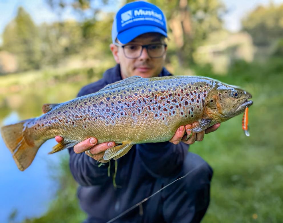 Hatalmas küzdelemben sikerült legyőzni a több mint 60 cm-es gyünyörű pisztrángot! 5 pisztrang2