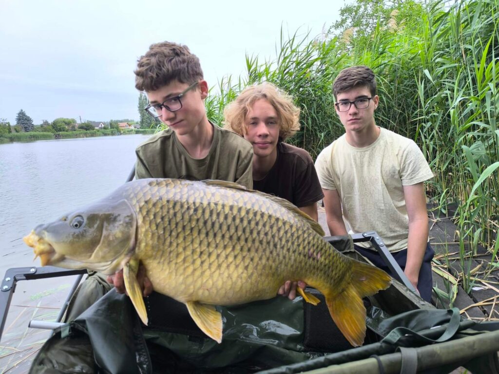 20 percig fárasztották csónakból a 19 kilós feederes tövest a srácok az RSD-n! 4 ponty hajzuk 003 1