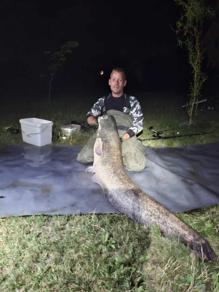 Lassú, de erőteljes kapással jelentkezett a gyönyörű másfél méteres harcsa, ami egyéni rekodot is hozott! 4 harcsa1