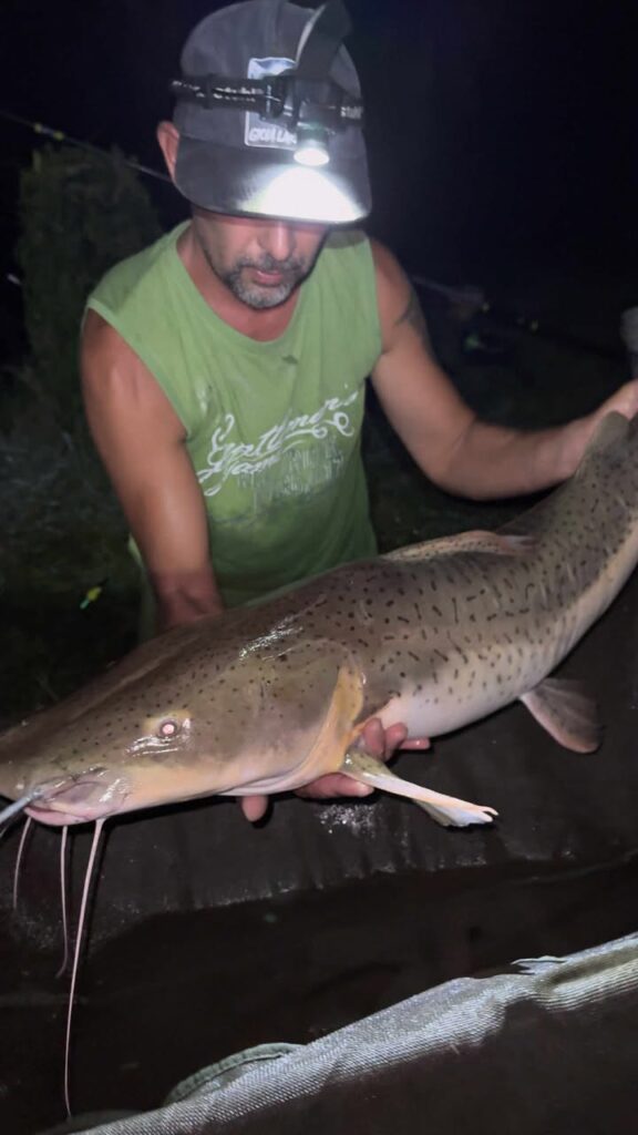 tropusi halak europaban