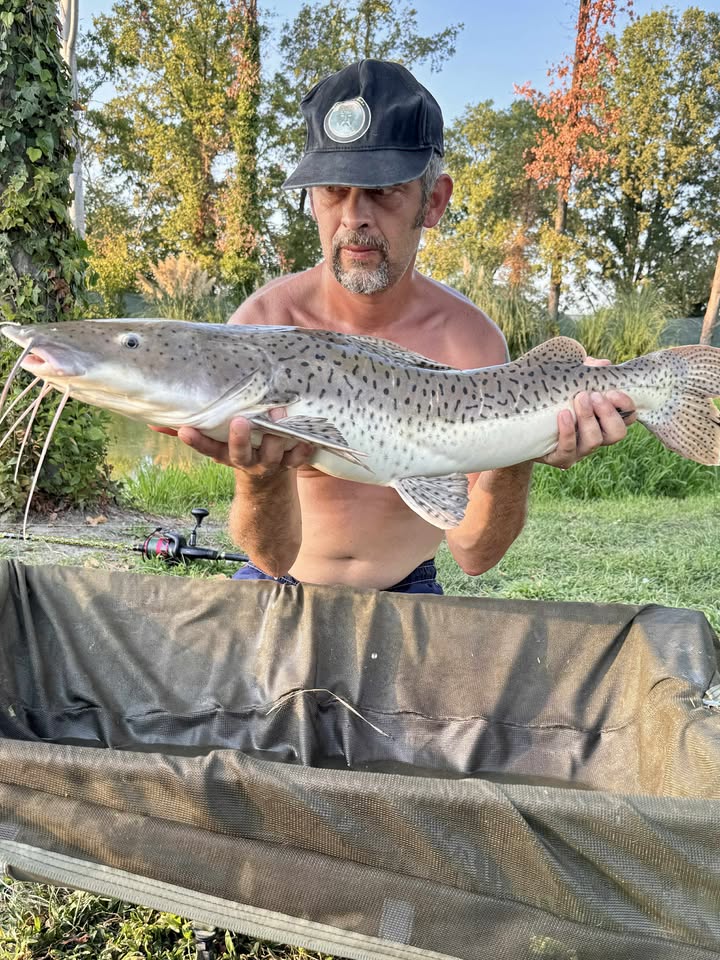 tropusi halak europaban2