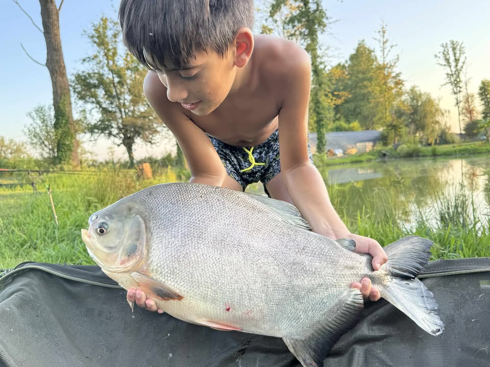 tropusi halak europaban4