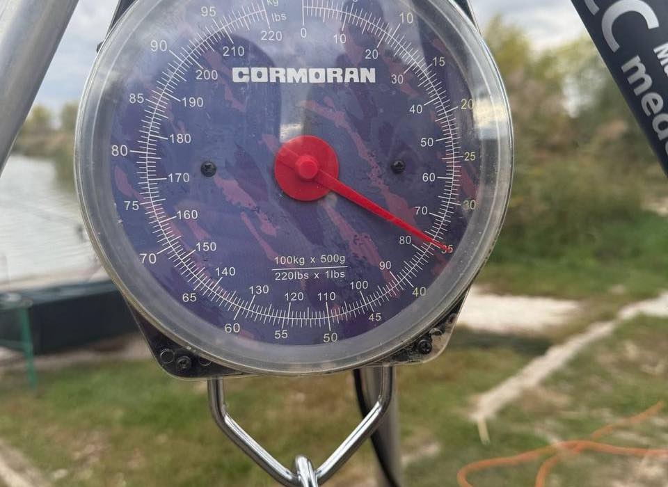 pozsar rekordponty 2