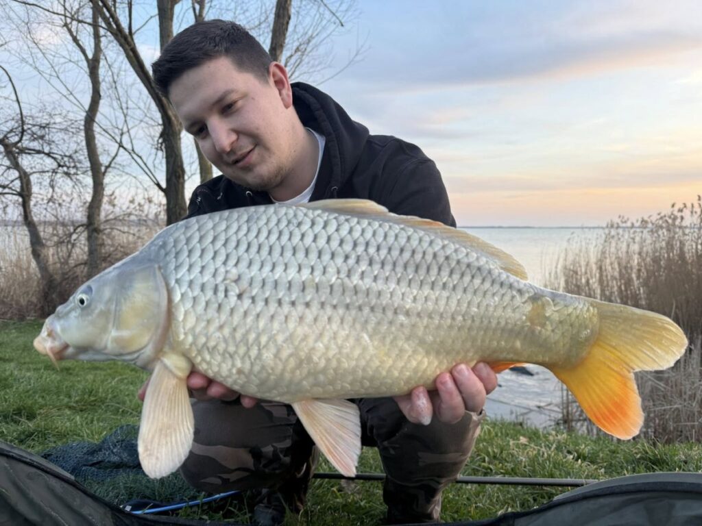 A balatoni rapid peca egyik legszebb hala