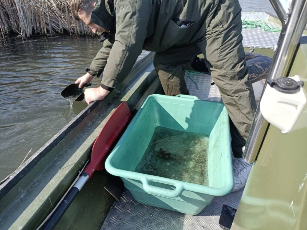 Pontyok után saját nevelésű csukák hada az RSD-be