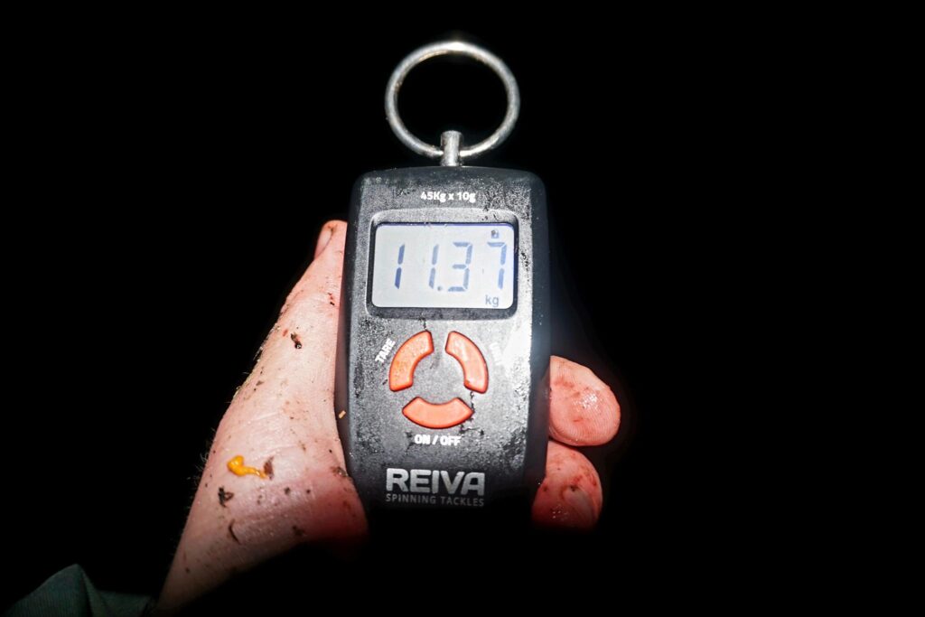 dunai sullo partrol cserkelve2