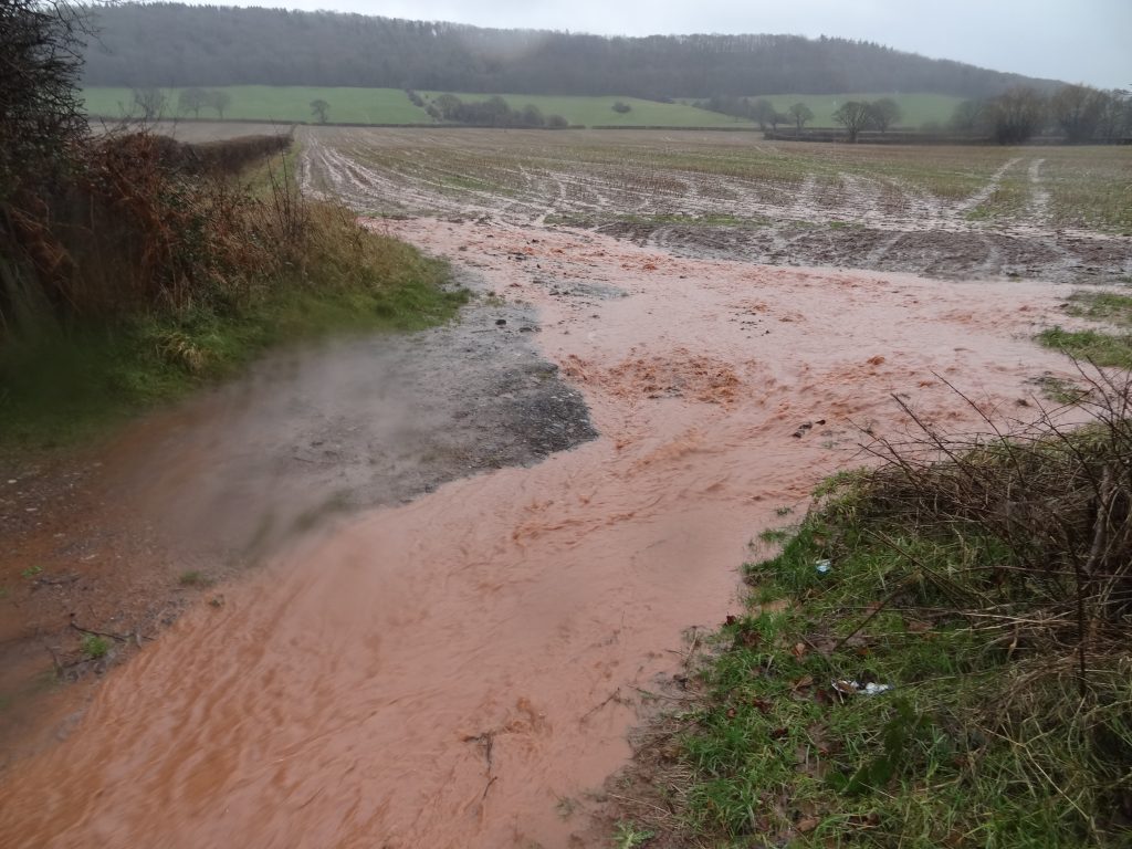 horgaszok vizszennyezes ellen2