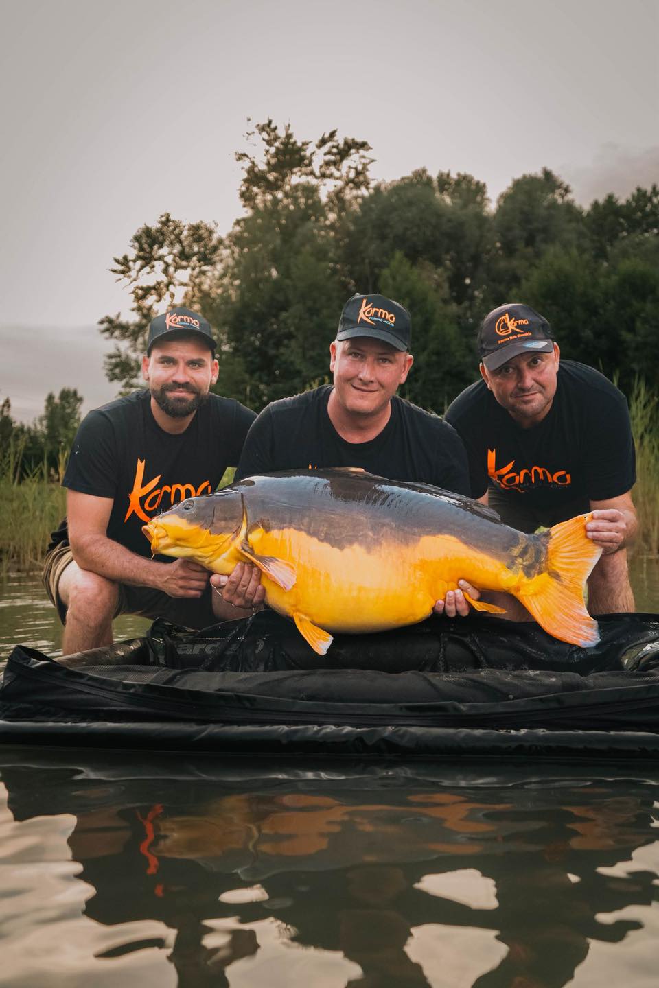 orszagos koi rekord 4