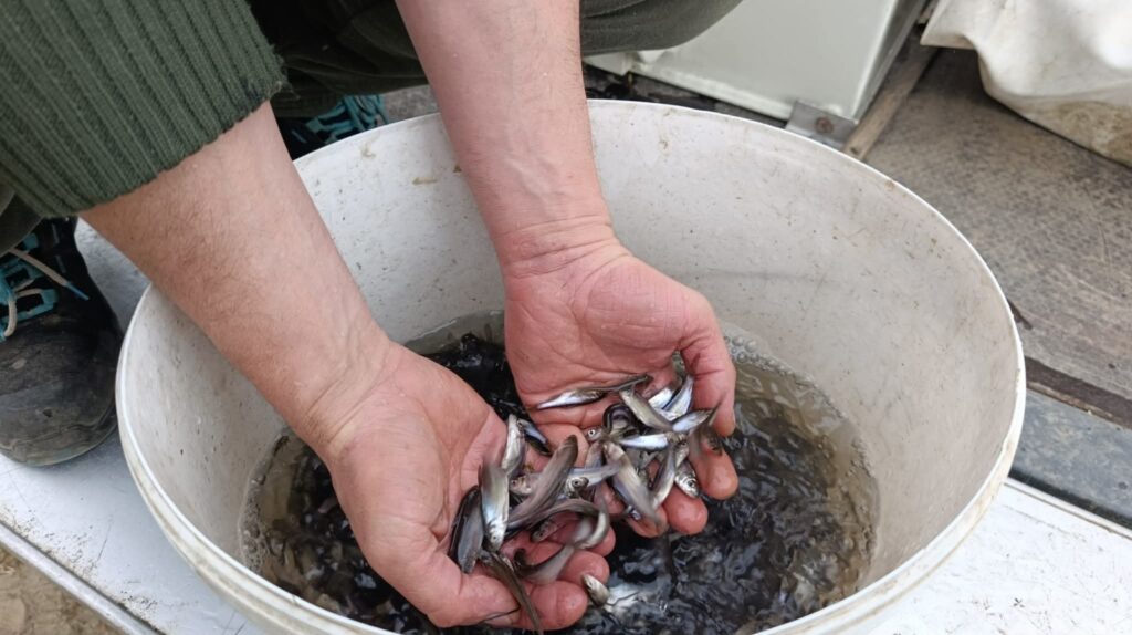 657331634 1298169065745457 9213163166701274054 n