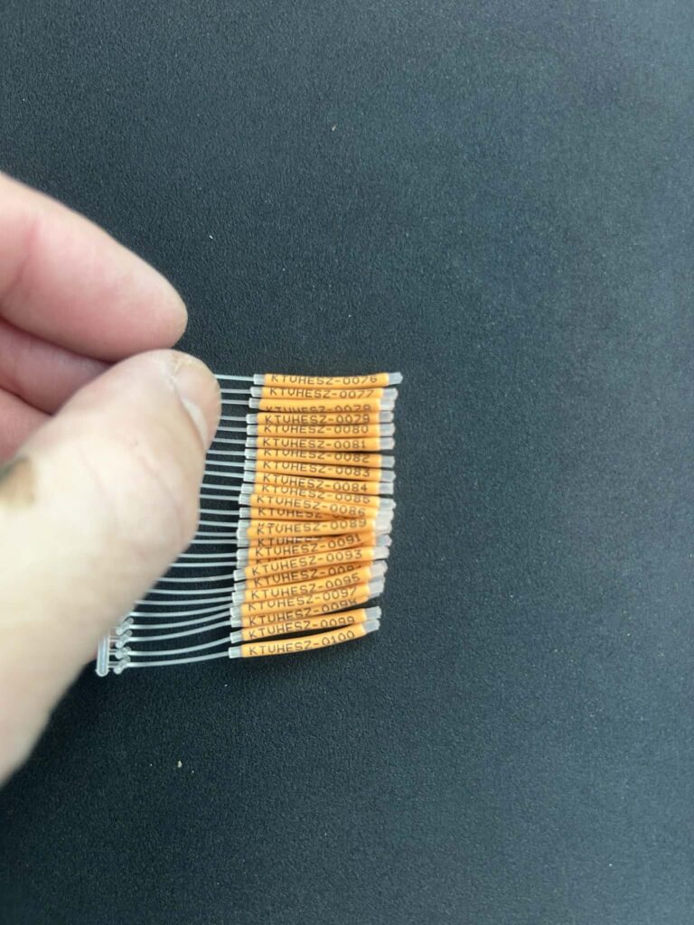 Jelölt pontyokat telepített a KTVHESZ 5 659038303 1353102526853553 4455657990107071280 n