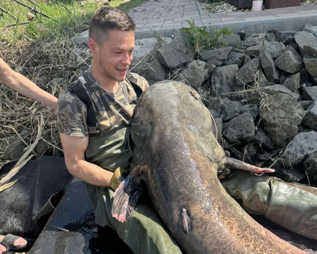 672230266 836513876148152 8444647614964615442 n