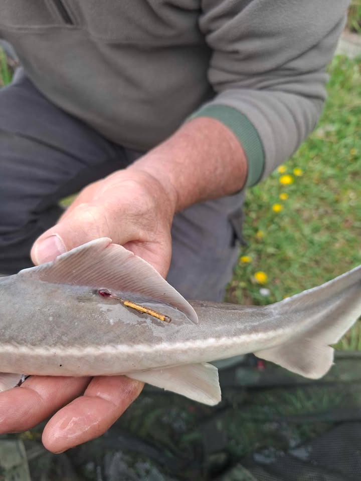 672564885 991745609874278 7951310152269273234 n