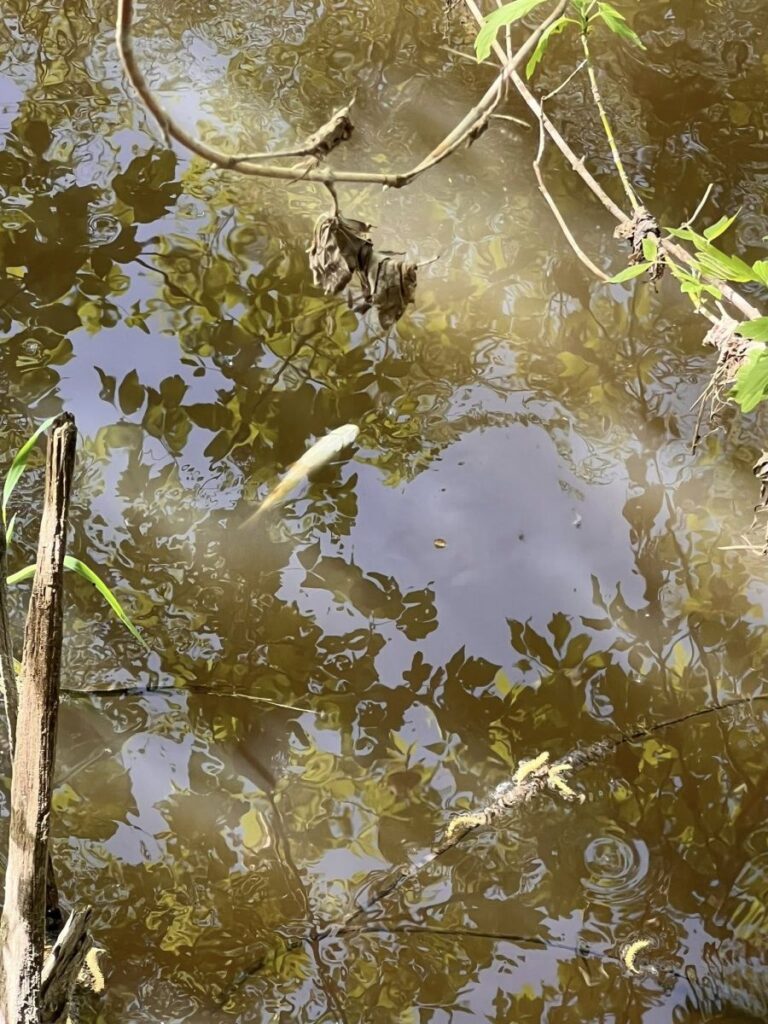 672680381 1391515776350293 5210556605629173825 n