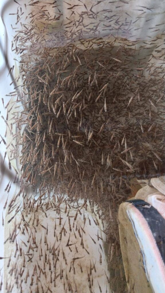 675738212 1388909269933161 1094593380929962443 n