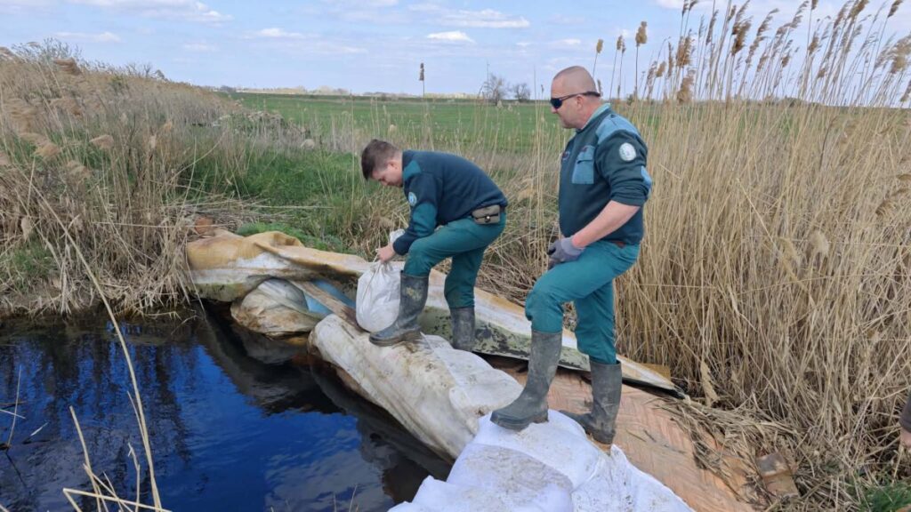 Vizes élőhelyet mentenek Cserkeszőlőn: partimadarak tucatjai költenek a Nagy-fertőn