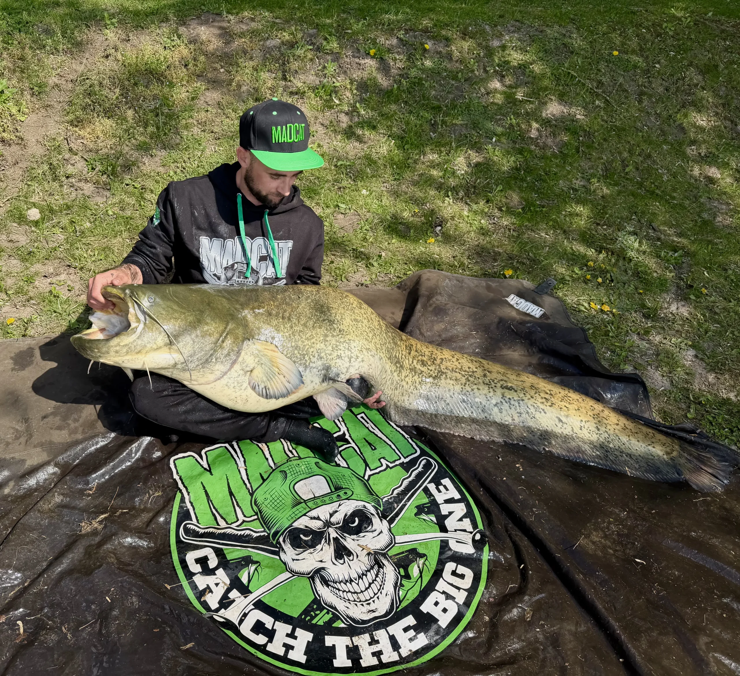 Filkohazi Erika rekordja 4 scaled