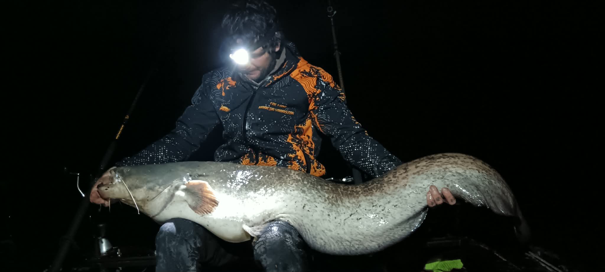 A Folyami Harcsa Vadász szép bajszost akasztott a Körösön