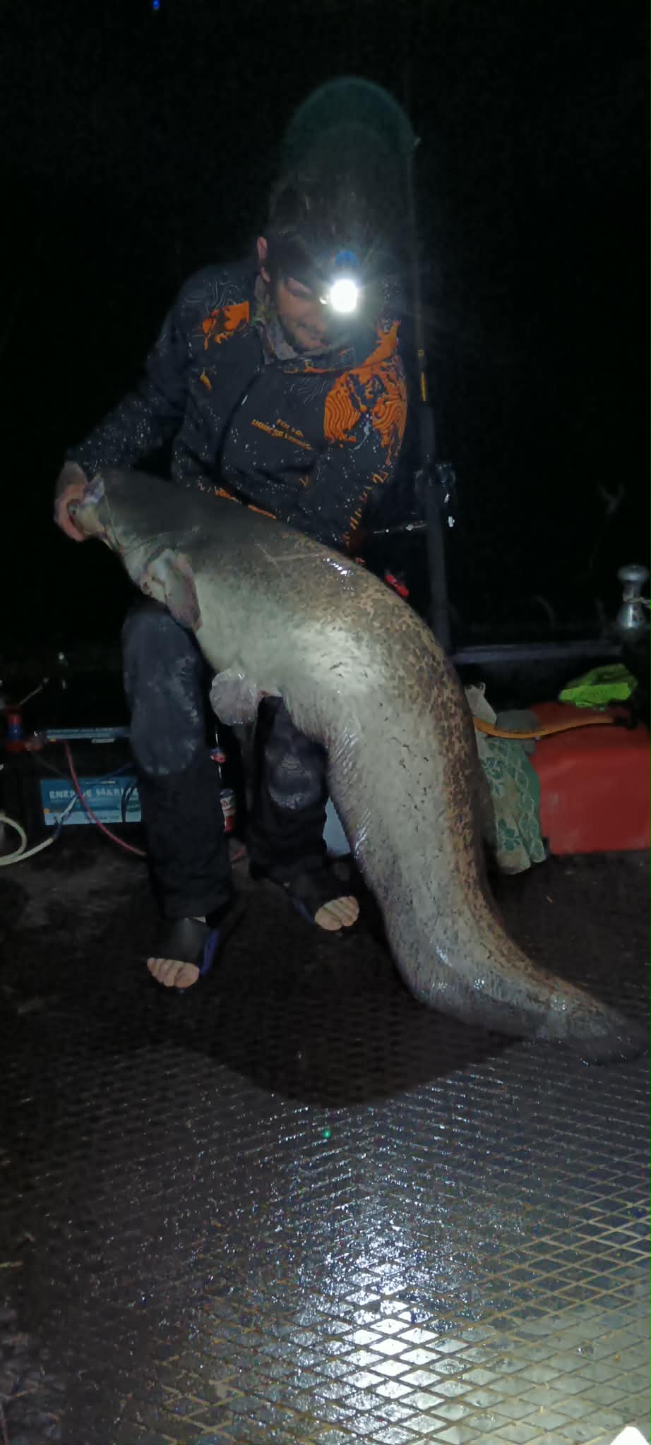 Harcsavadasz tavaszi harcsa 3