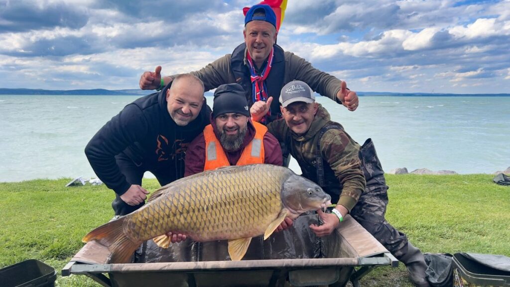 Máris érkezett egy óriási 29+os ponty az IBCC-n!