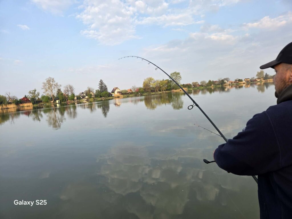 RSD busa method feeder3