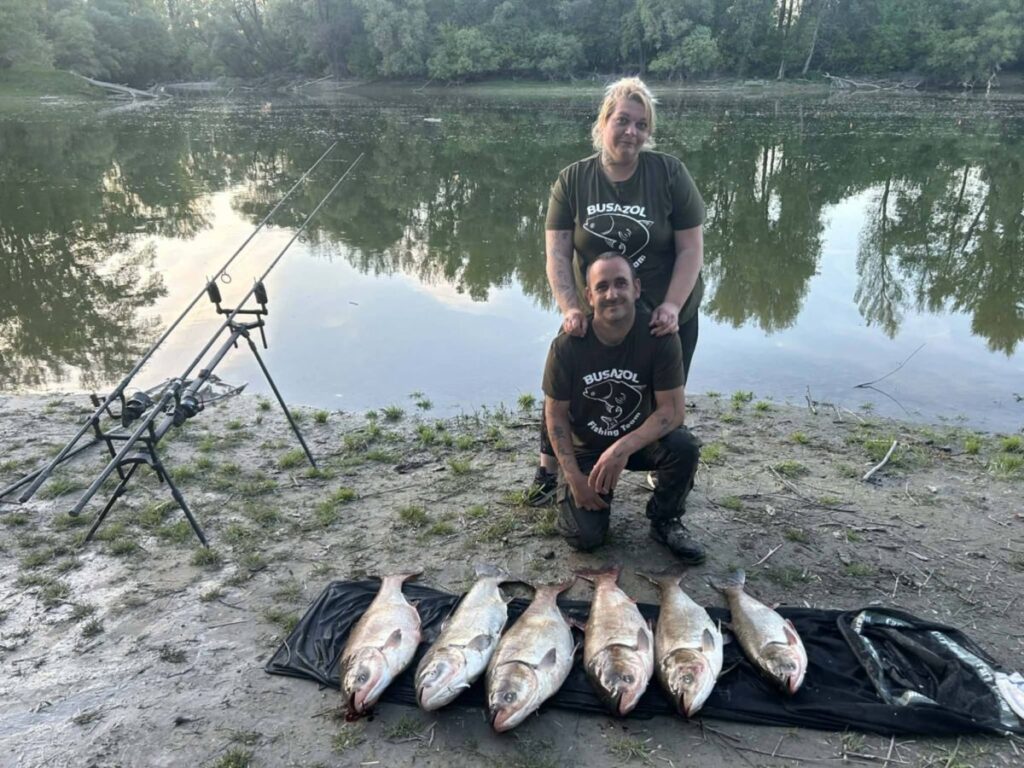 Gyönyörű busaterítékkel szolgált az ügyes horgász párnak a Neszmélyi Kis-Duna