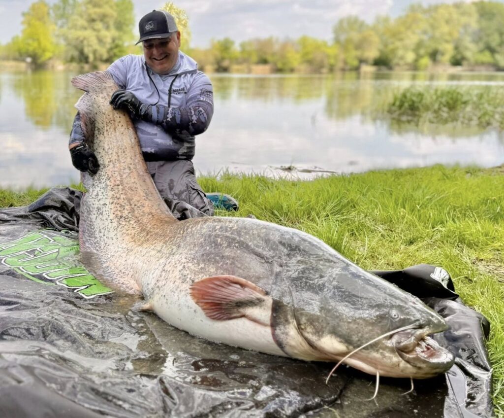 "Mintha egy hatalmas kamion húzta volna a zsinórt" - ilyen volt az emberfeletti küzdelem a 236 centis óriási harcsával!