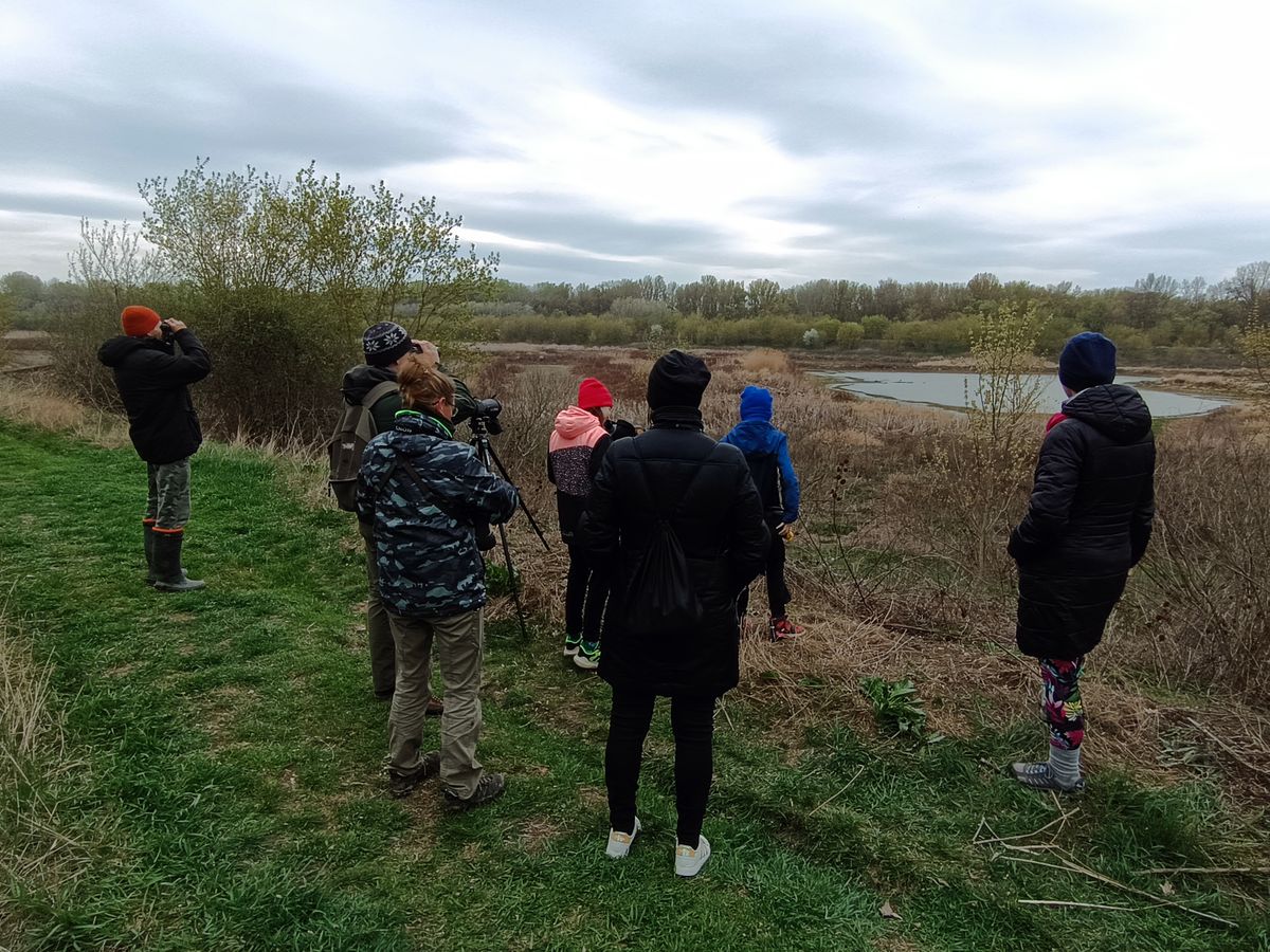 kiszaradt cukorgyari ulepito tavak