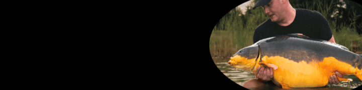 Karma Banner