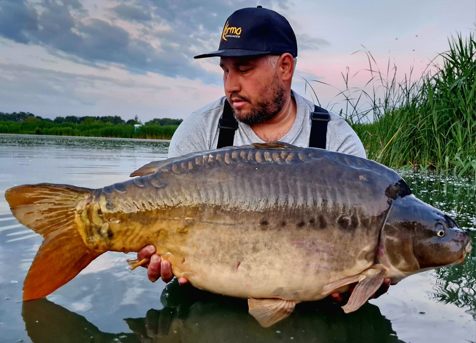 Micsoda túra! A 20+os pontyok tömkelegét egy 30 kg feletti matuzsálem koronázta meg a Tokaji Kovácstón! 21 Tóth Sándor, Karma Bait, Tokaji Kovácstó