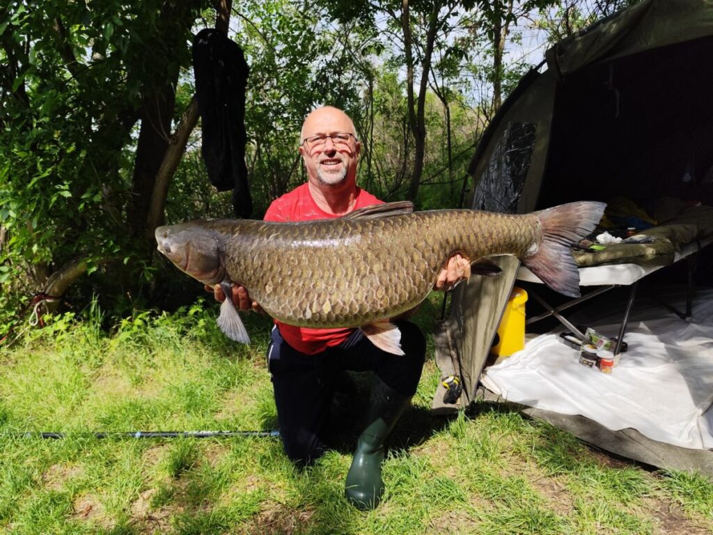 Pontyzás közben ugrott be hatalmas amur kolozsvári horgásztársunk pecáján a Tisza-tavon!