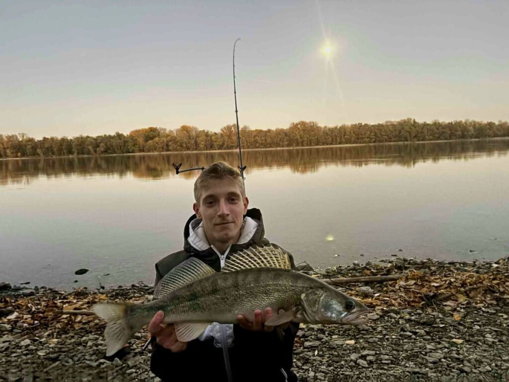 Márnázás közben vette fel a waftert egy géb, majd a gébet egy gyönyörű süllő a Dunán