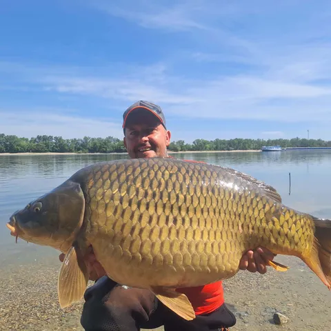 Kopcsó Gábor hatalmas dunai pontya