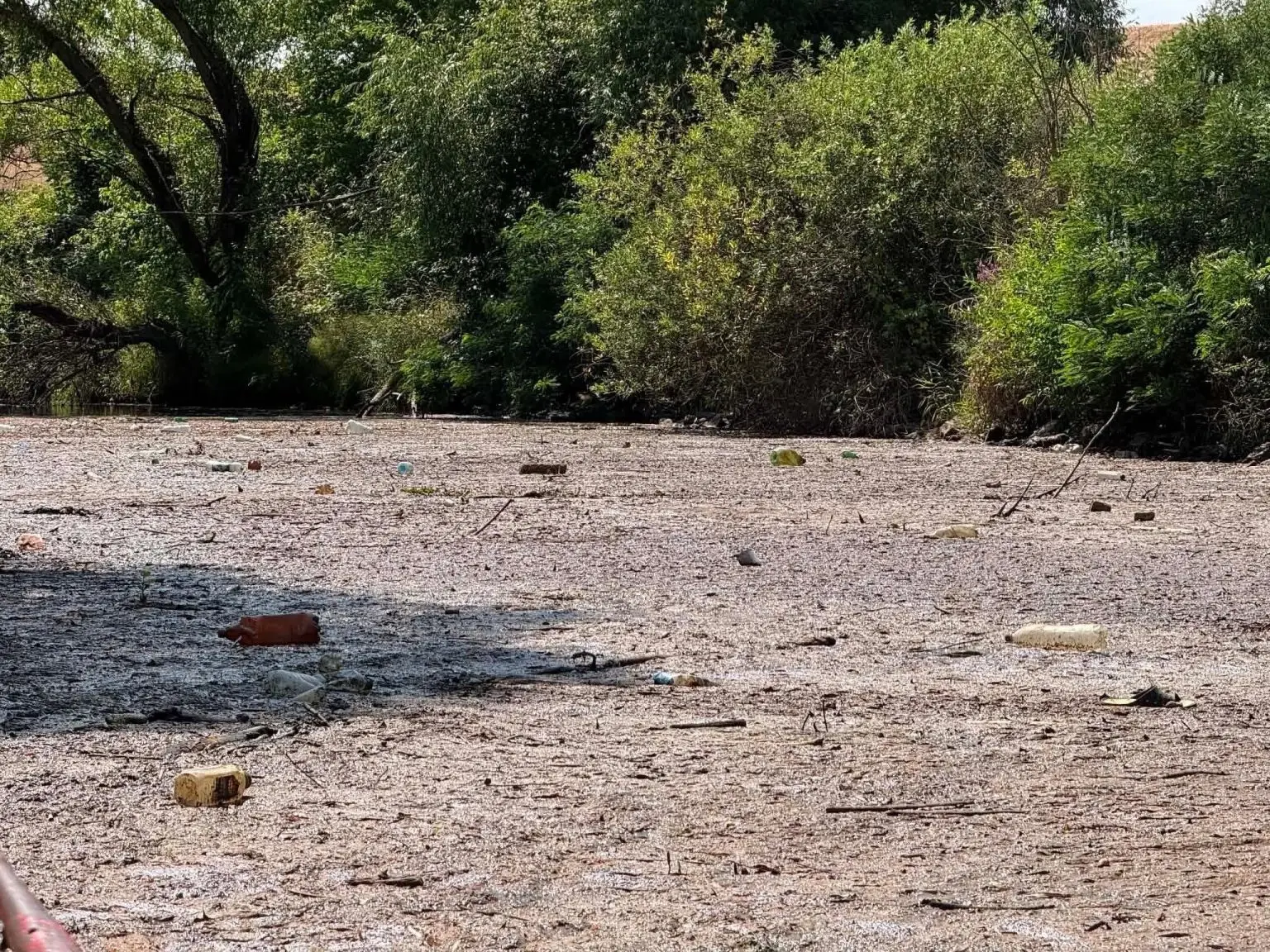 Marhaürülék volt az ismeretlen eredetű szennyezés a Fekete-Körösön! 7 Ismeretlen eredetű szennyeződés a Fekete-Körösön