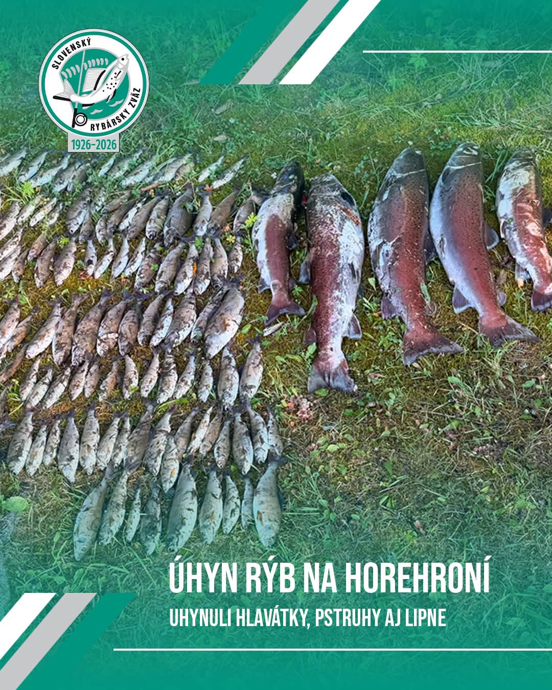 Halpusztulás  Szlovákiában, a Felső-Garammente térségében