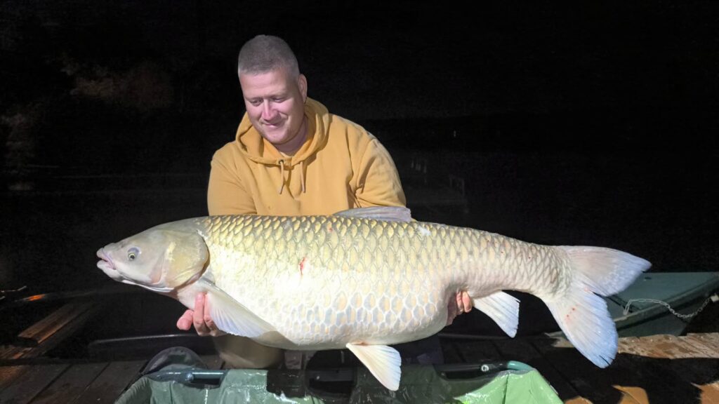 Kukoricával csípték el a 25 kg feletti hatalmas amurt 3 799958433 2079591092946414 4327243577327446379 n