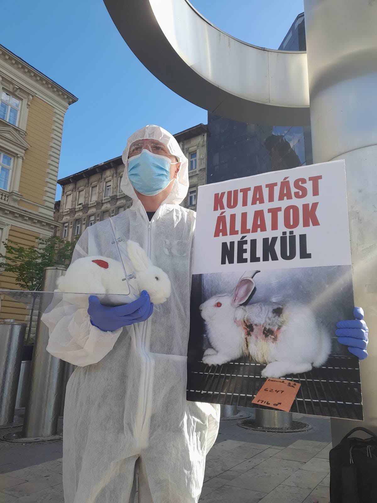 Garnélák leölésének gyakorlata ellen tiltakoztak állatjogi aktivisták Budapesten 7 480802486 610348968424736 4035458582698902959 n
