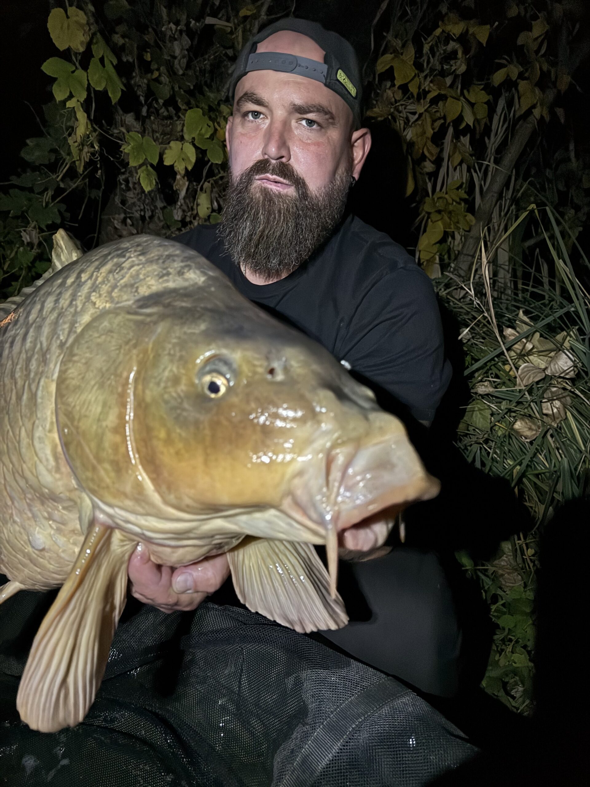 IMG 3307 scaled