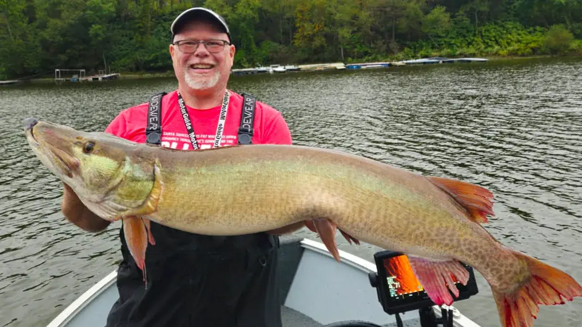 18 hónapig nem horgászott az amerikai sporttárs, első pecáján pedig rögtön egy 128 cm-es muskie akadt a horgára